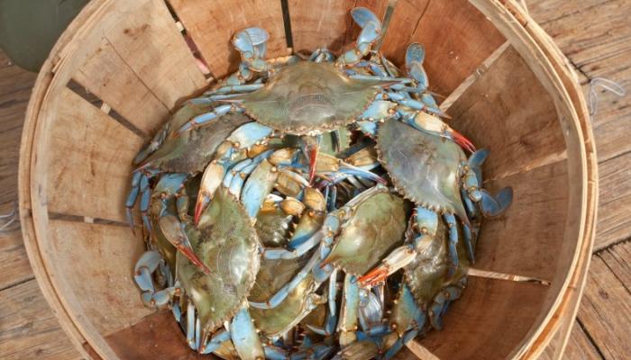 Barrel of Crabs