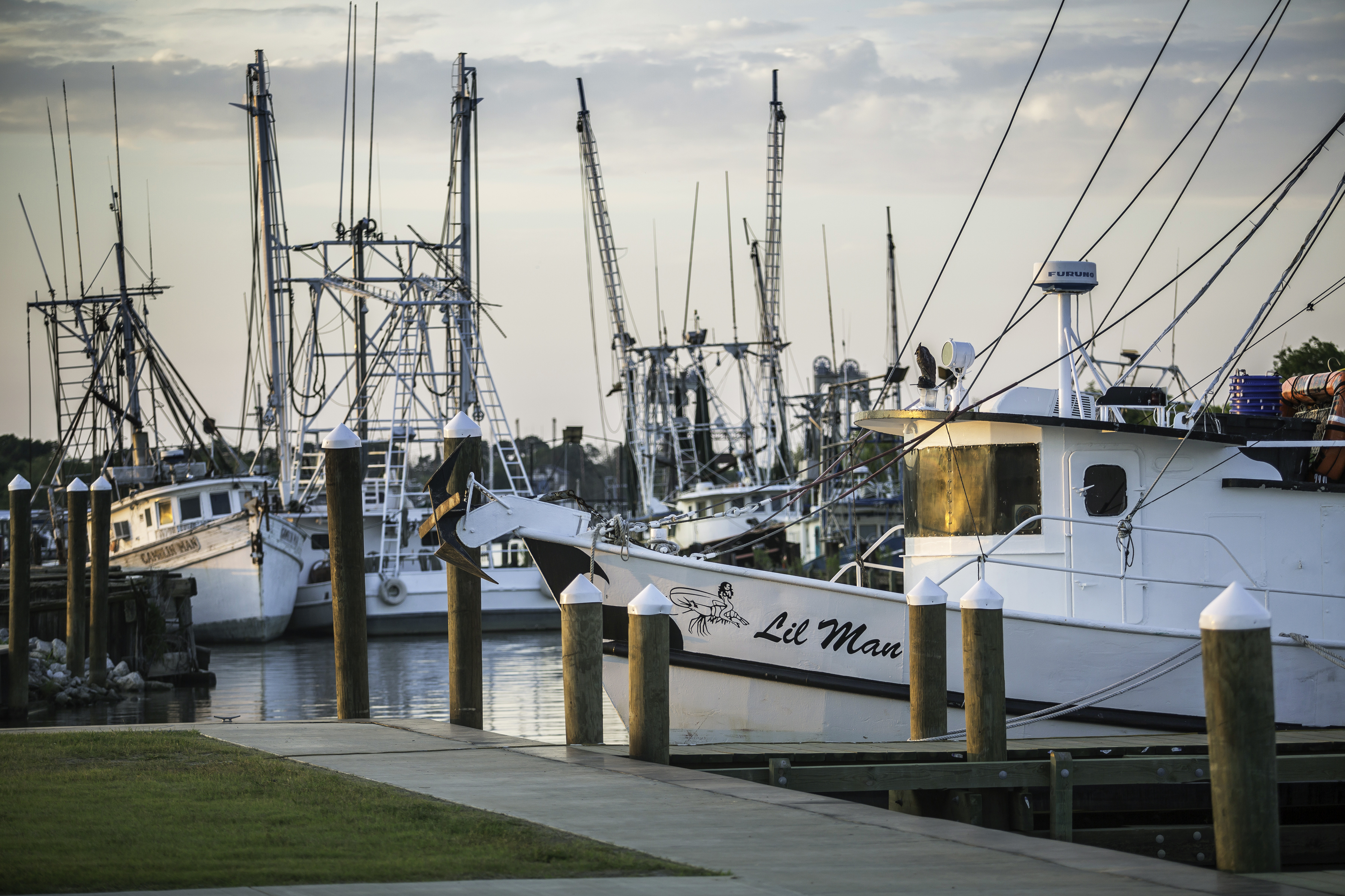 Louisiana Seafood