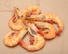 Louisiana Seafood Facts