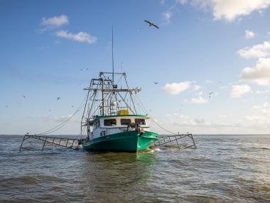 Louisianan  Seafood Shrimp Boat