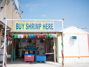 Louisiana Seafood - News