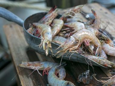 Louisiana Seafood - Shrimp
