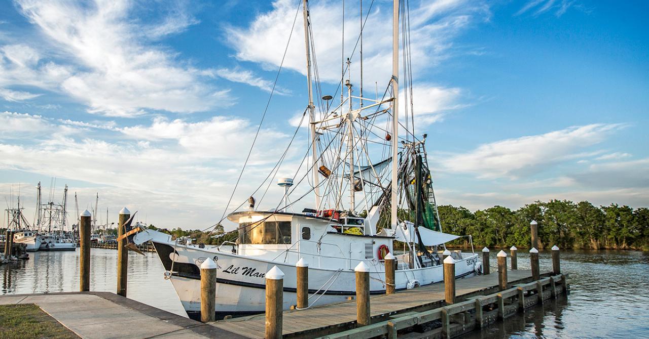 Delcambre's shrimp boats along Cajun Corridor Byway in Louisiana