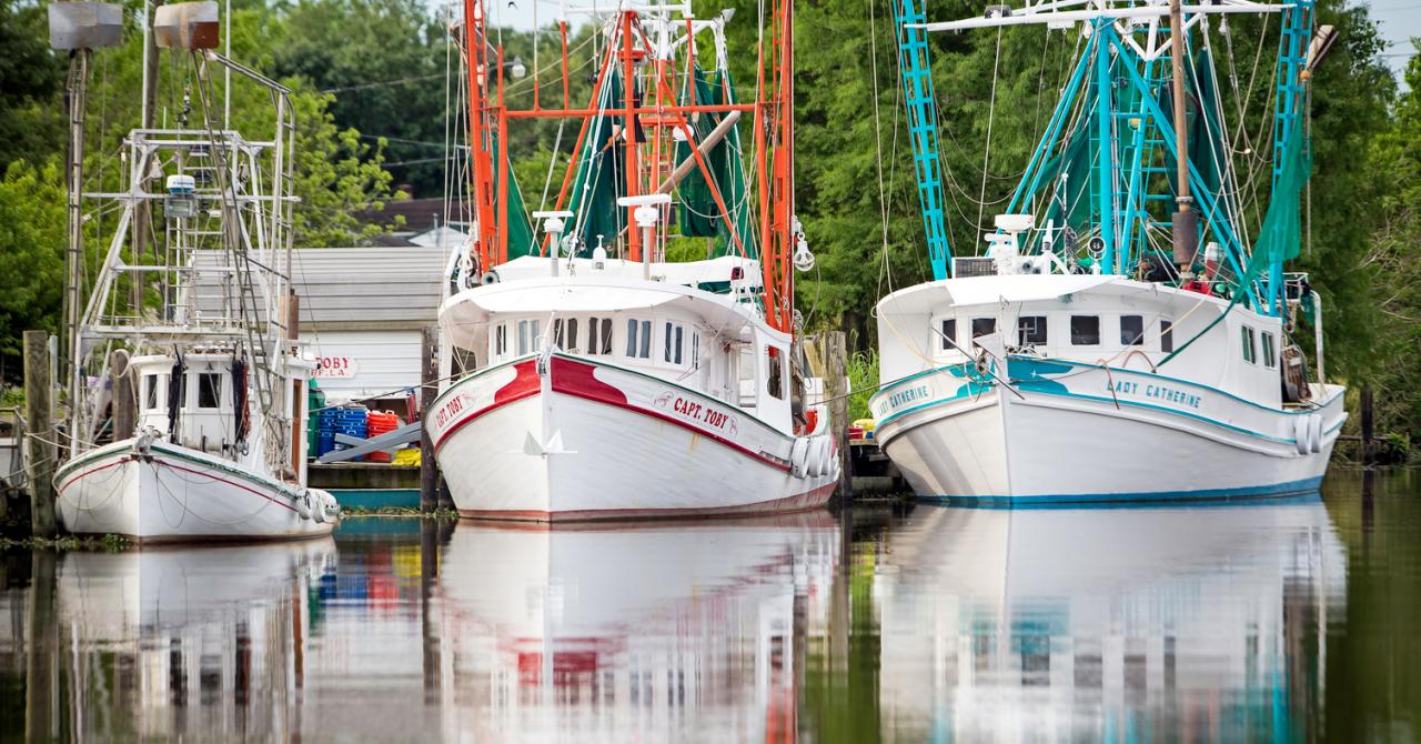 Fishing Boats on the water