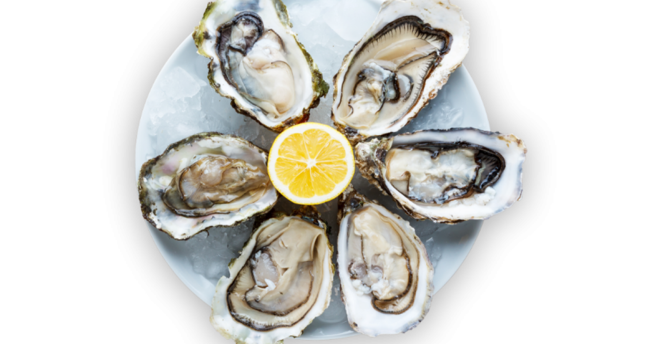 Oysters Overlay Image