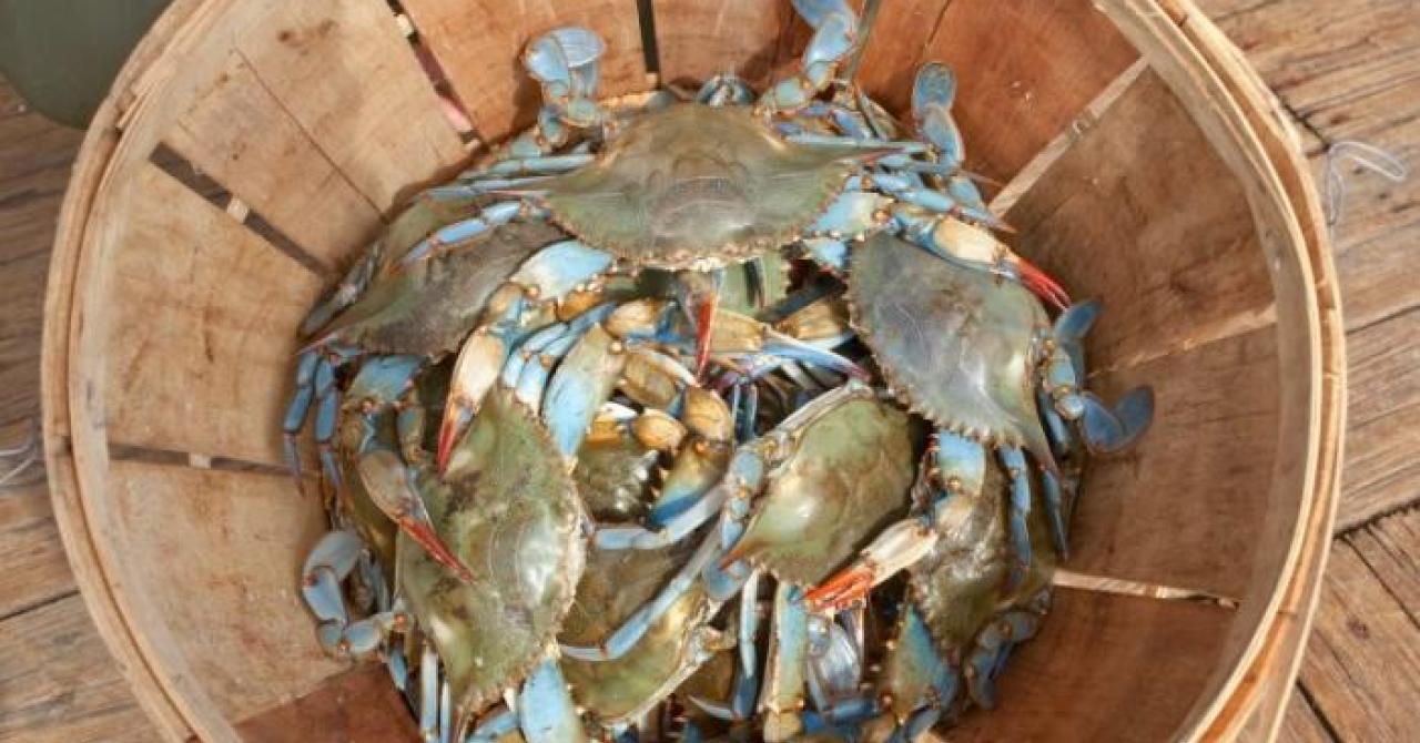 Barrel of Crabs