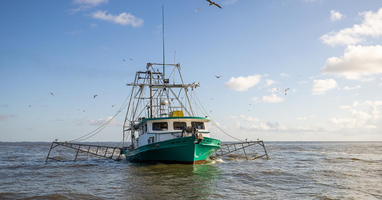 Louisianan  Seafood Shrimp Boat