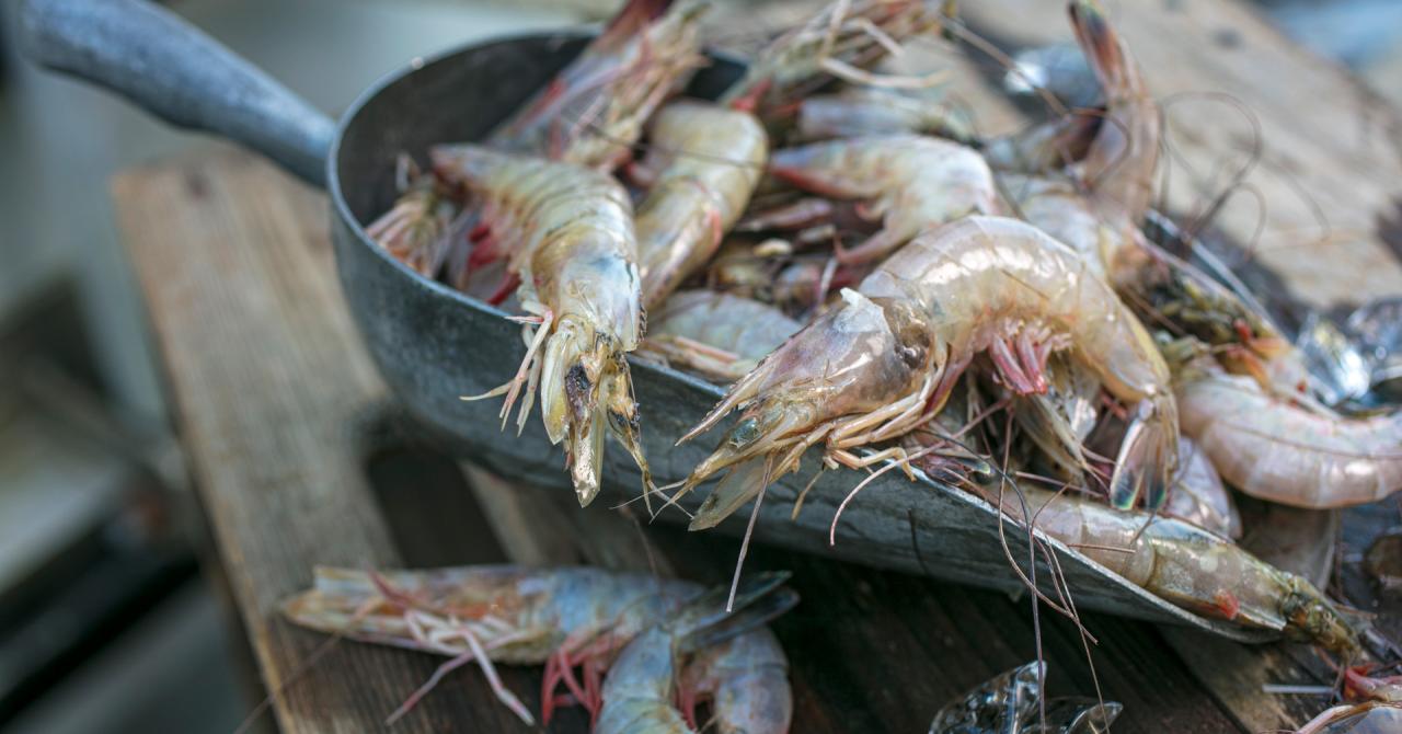 Louisiana Seafood - Shrimp