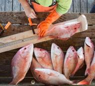 Louisiana Seafood