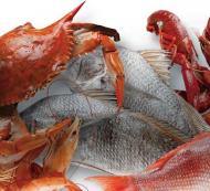 Louisiana Seafood Products
