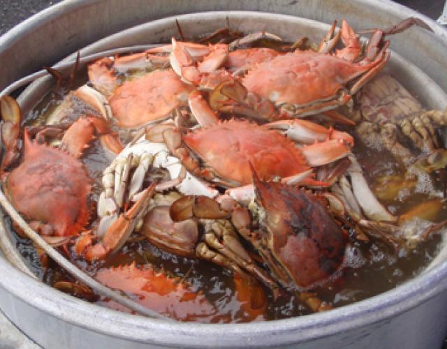 Louisiana Crab Boil Recipe Oven | Deporecipe.co